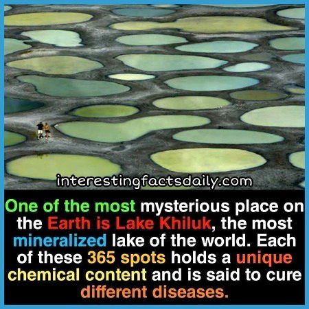 Interesting Posts image