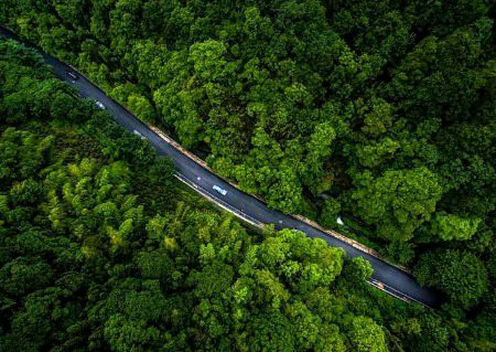 Beautiful Nature image