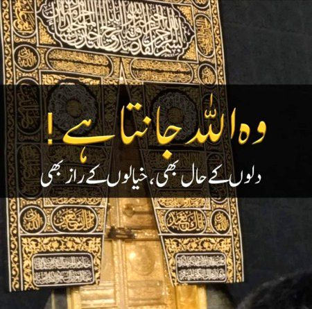 Islamic Quotes image