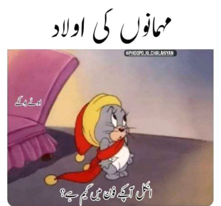 Memes & Satire image