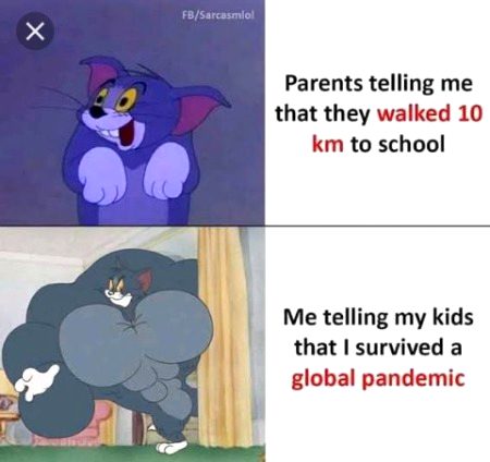 Memes & Satire image