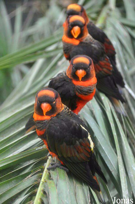 Beautiful Nature image