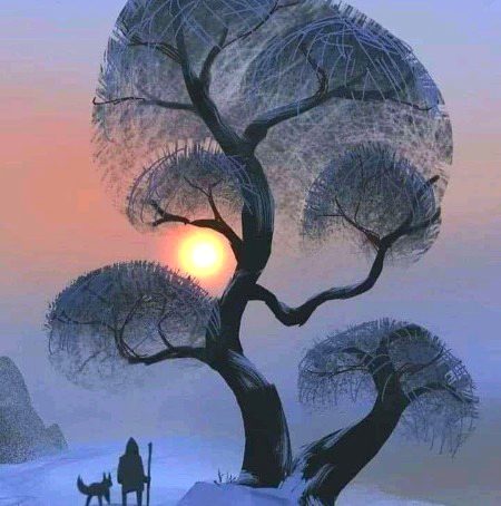 Beautiful Nature image