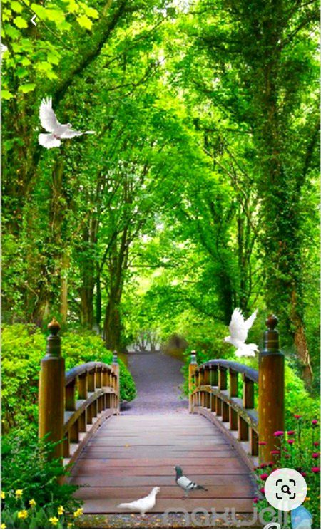 Beautiful Nature image