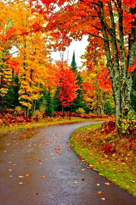 Beautiful Nature image