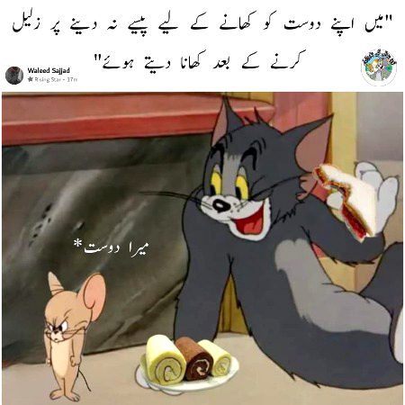 Memes & Satire image