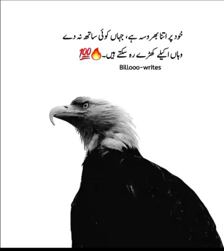 Attitude Poetry image