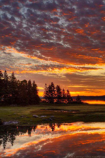 Beautiful Nature image