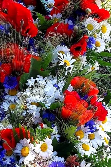 Beautiful Nature image