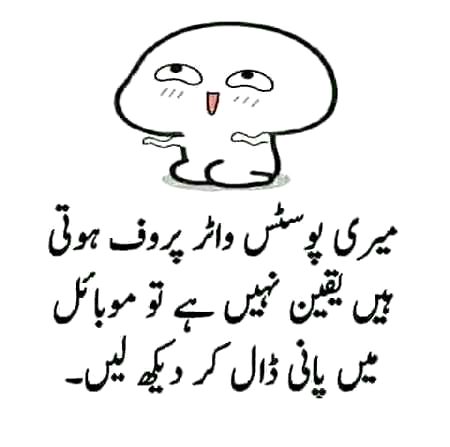 Memes & Satire image