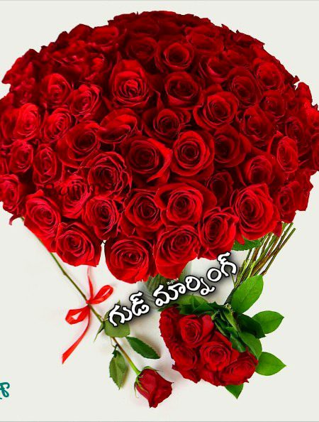 Beautiful Nature image