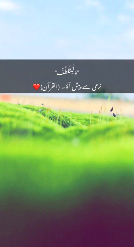 Islamic Quotes image
