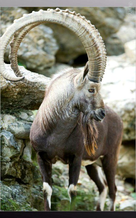 Beautiful Nature image