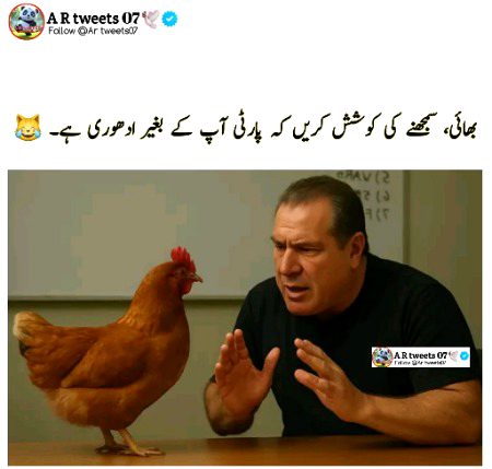 Memes & Satire image