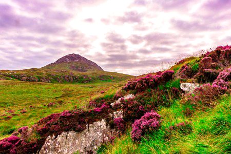 Beautiful Nature image