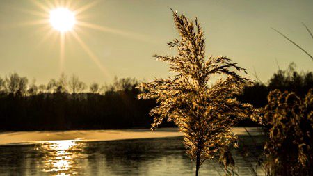 Beautiful Nature image