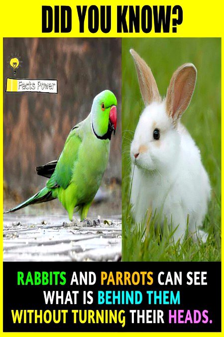 Interesting Posts image