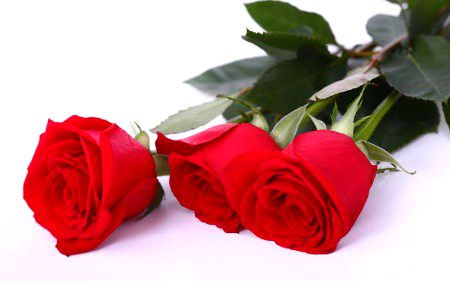 Beautiful Nature image