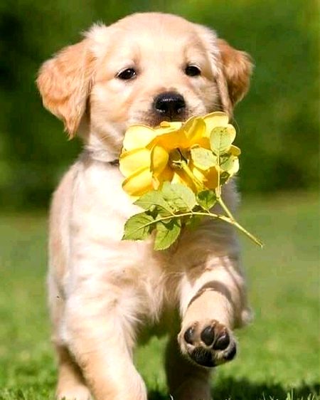 Beautiful Nature image