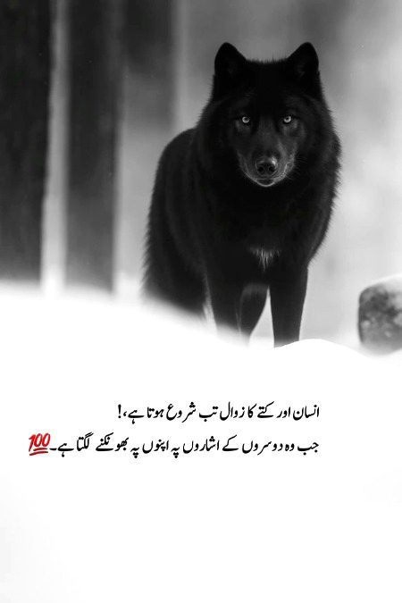 Social media post