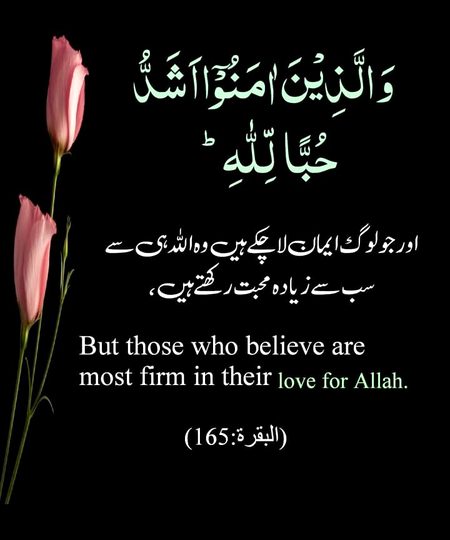 Islamic Quotes image