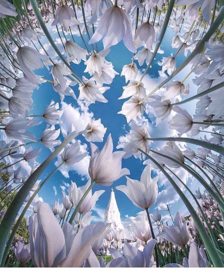 Beautiful Nature image