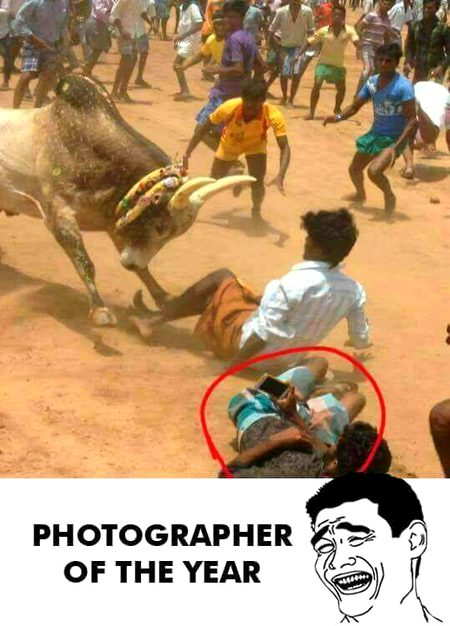 Memes & Satire image