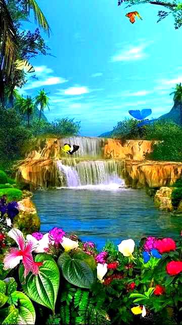 Beautiful Nature image