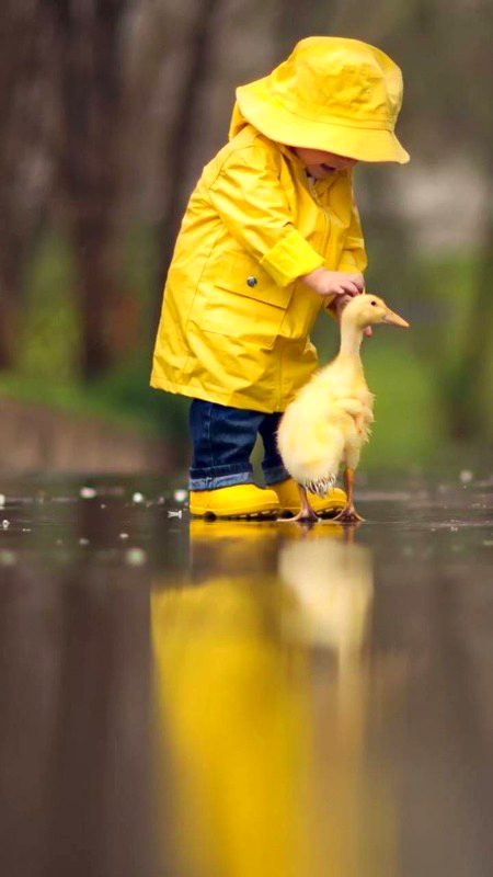 Beautiful Nature image