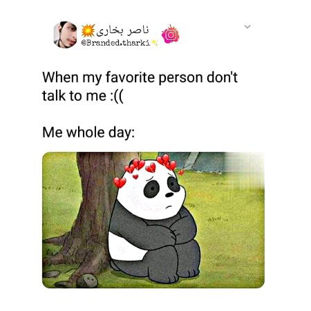 Memes & Satire image