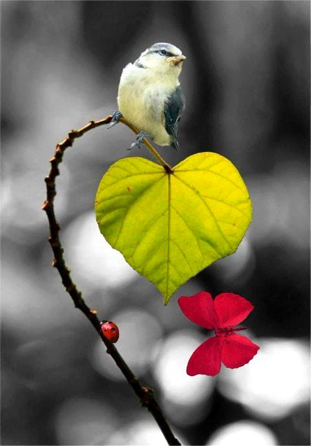 Beautiful Nature image