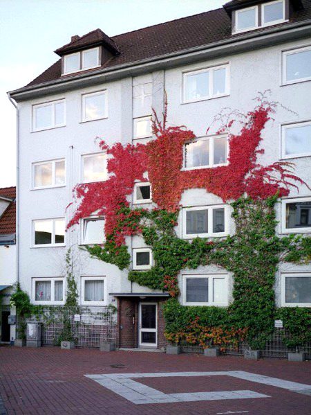 Beautiful Structures image