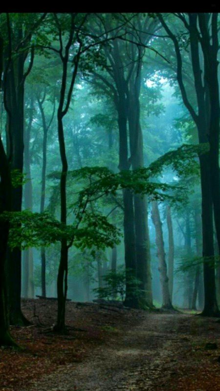 Beautiful Nature image