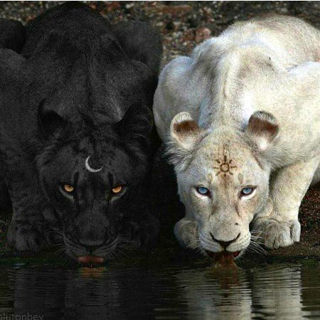 Beautiful Nature image