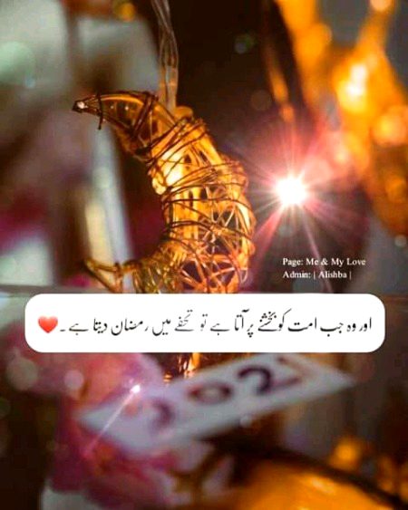 Islamic Quotes image