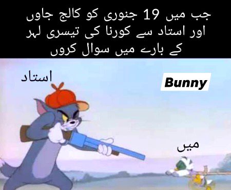 Memes & Satire image