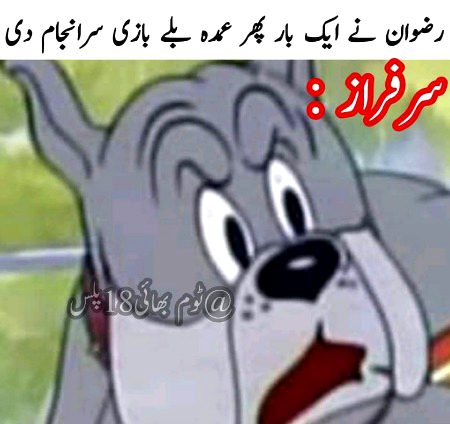 Memes & Satire image