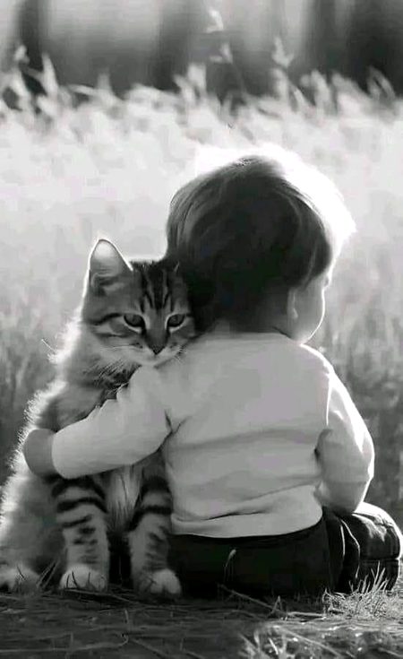 Beautiful Nature image