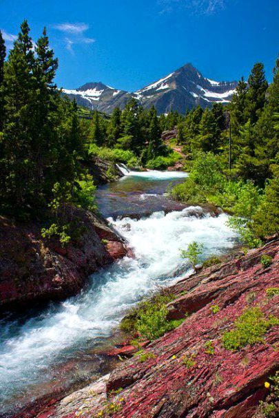 Beautiful Nature image