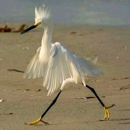 Beautiful Nature image