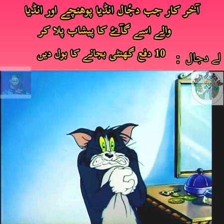 Memes & Satire image