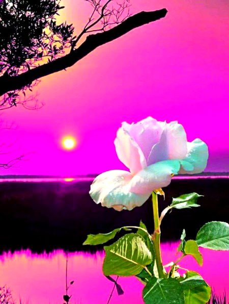 Beautiful Nature image