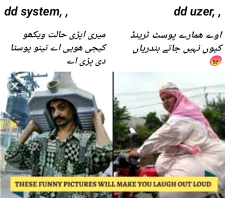 Damadam Roasting image