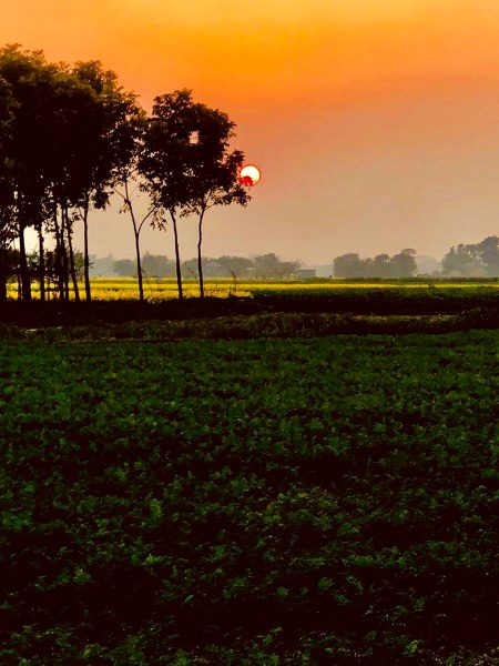 Beautiful Nature image