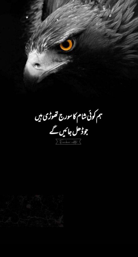 Attitude Quotes image