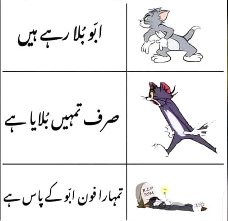 Memes & Satire image