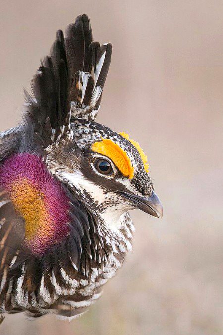 Beautiful Nature image