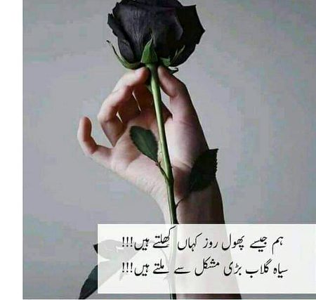 Attitude Poetry image