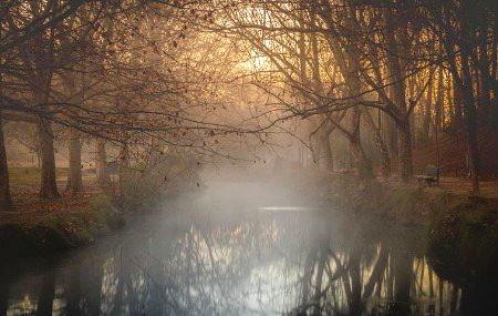 Beautiful Nature image