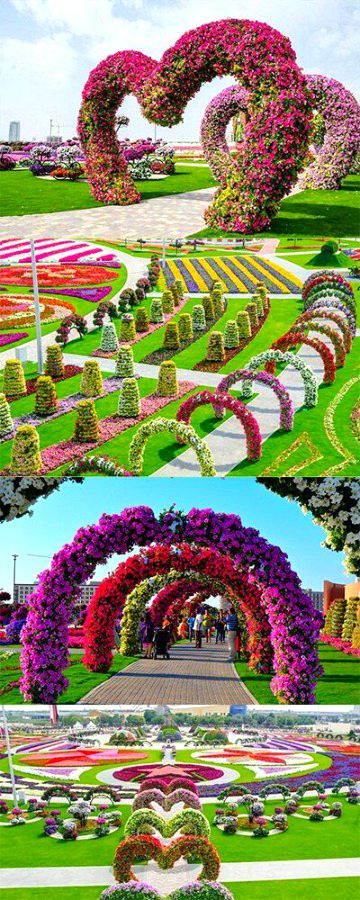 Beautiful Nature image